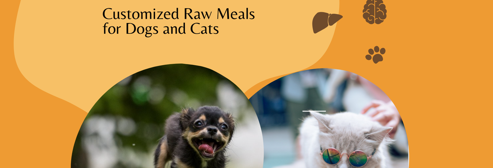 Customized Meal Plan